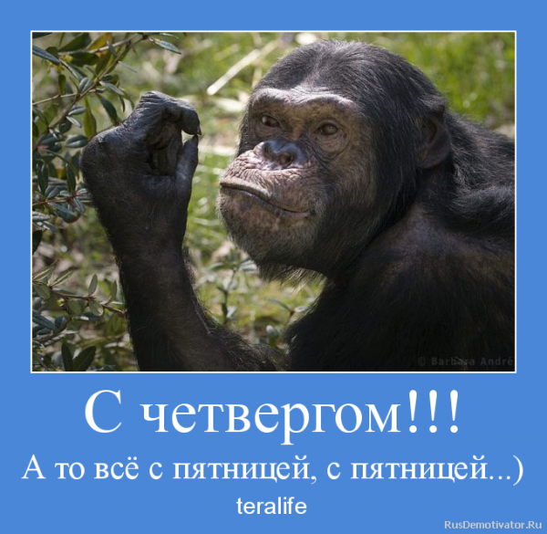 Открытки с четвергом приколы Открытки с четвергом приколы