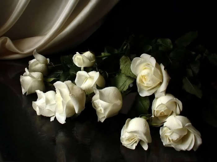 white-roses-1 (700x525, 28Kb)
