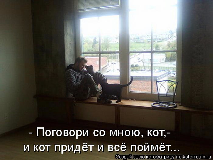 kotomatritsa__ (1) (700x525, 219Kb)