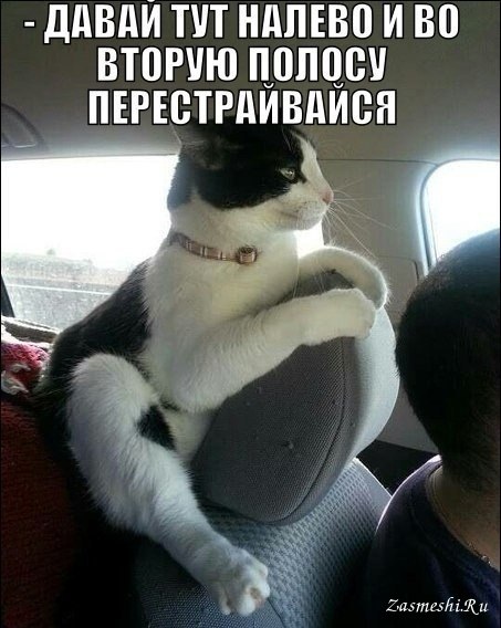 5680197_2512Sudyapokresluonpostoyannotakezdit (453x568, 58Kb)