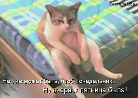 5680197_799Nukaktaka (480x340, 22Kb)