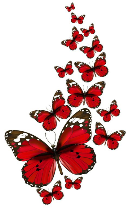 167383ee5e1bef3c8c40bb594fa030ee (429x700, 194Kb)