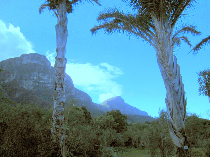 2 (700x525, 532Kb)