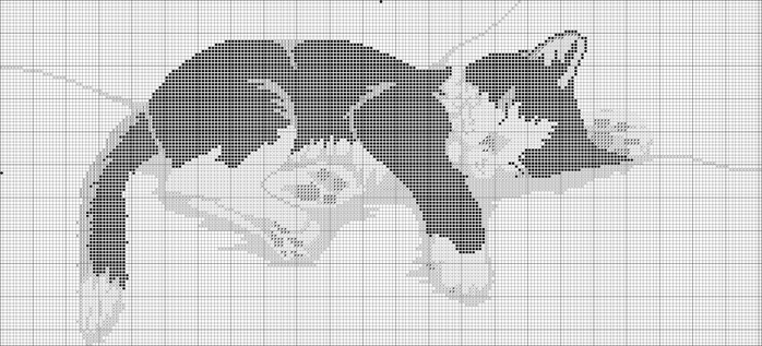 котэ5 (700x317, 156Kb)