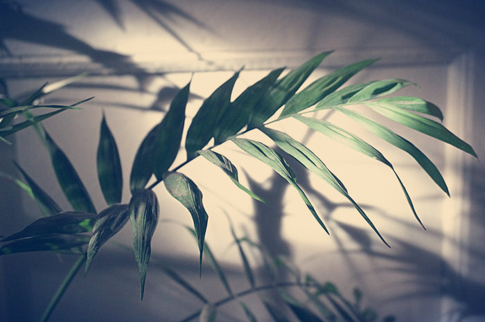 5 (700x465, 65Kb)