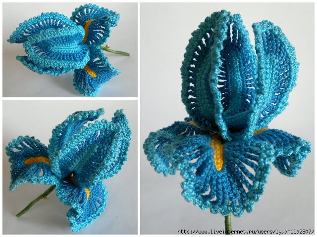 97725057_large_crochet_iris (640x480, 332Kb)