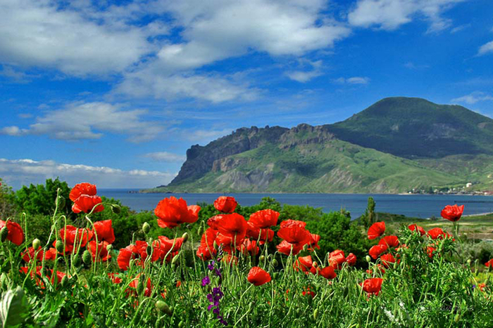 crimea_pogoda_2 (700x467, 455Kb)