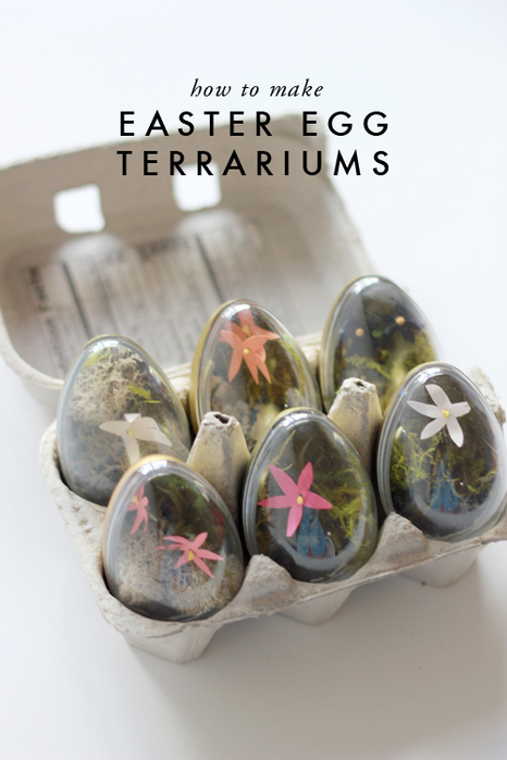 eggs-in-carton-terrarium (466x700, 222Kb)