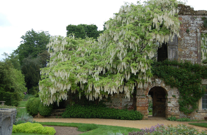 All-sizes-May-26-Scotney-Castle-10-Flickr-Photo-Sharing (700x458, 589Kb)