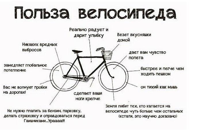 Польза велосипеда