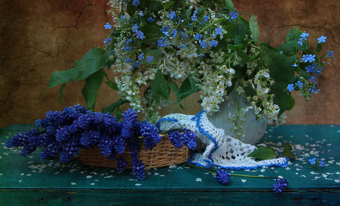 Цвет покоя Синие цветы 2412268 (700x426, 146Kb)
