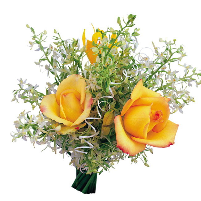  Bouquets flower colors    " ALLDAY -     