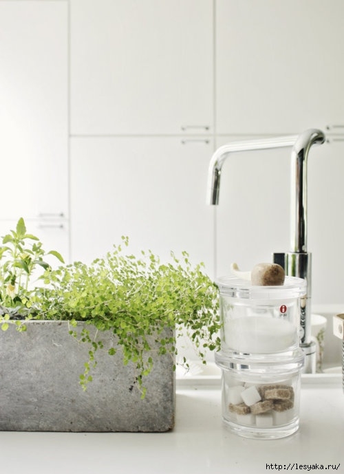 bathroom-design-ideas-with-plants-and-flowers-ideal-for-spring-12 (500x689, 120Kb)