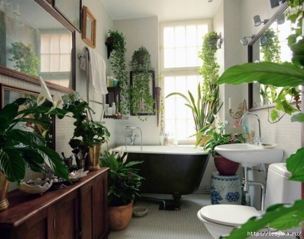 bathroom-design-ideas-with-plants-and-flowers-ideal-for-spring-16 (610x480, 183Kb)