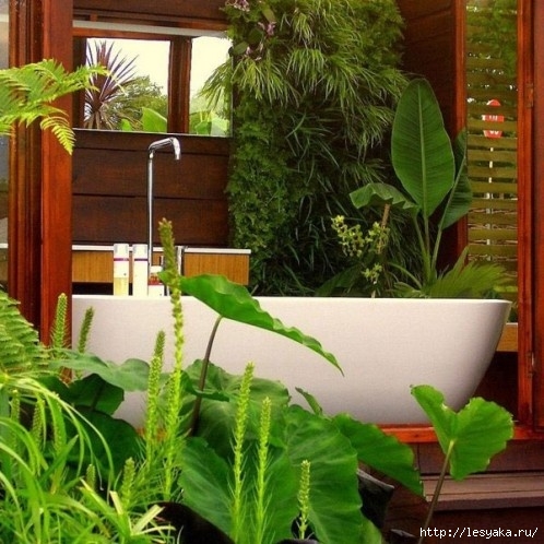 bathroom-design-ideas-with-plants-and-flowers-ideal-for-spring-26 (498x498, 183Kb)