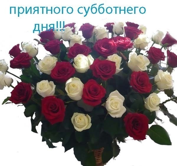 http://img1.liveinternet.ru/images/attach/c/8/99/448/99448085_000.jpg