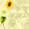  Image11 (100x100, 22Kb)