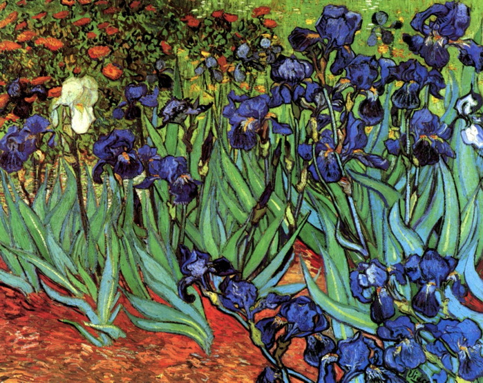 Винсент Ван Гог1853-1890 Irises (700x554, 241Kb)