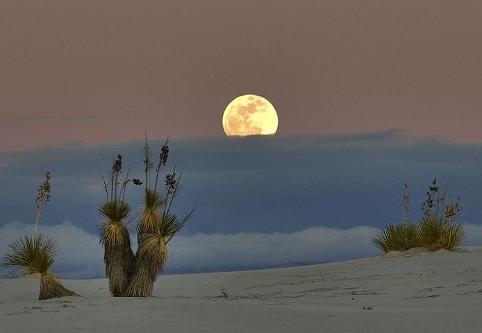 Необычная пустыня Белых Песков (фото) - фото 12