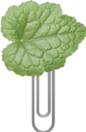 Превью Image21 (222x338, 92Kb)