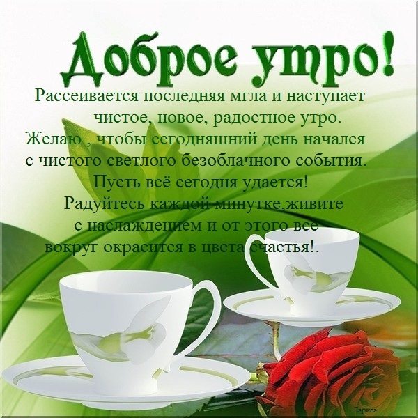 http://img1.liveinternet.ru/images/attach/c/8/99/673/99673265___i16609.jpg