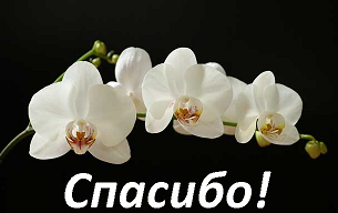 94363254_94354495_large_spasibo_s_orhideey2 (305x192, 53Kb)