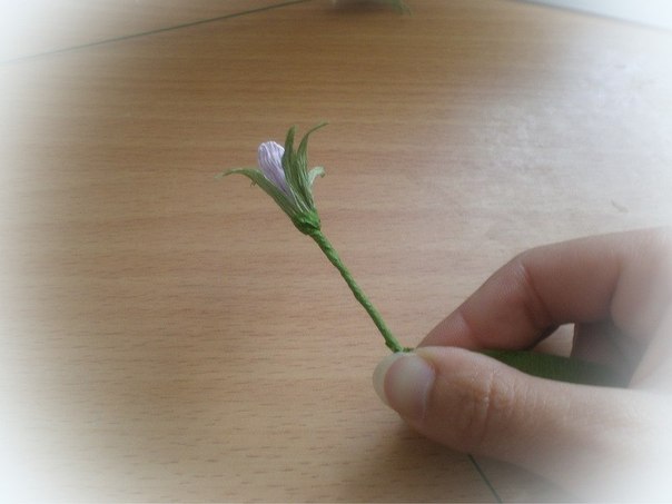 9 (604x453, 32Kb)