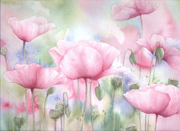 Field_of_Pink_Poppies_by_louise_art (600x438, 66Kb)