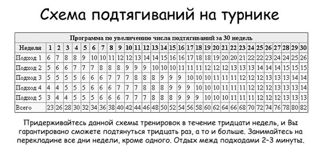 Схема занятий на турниках и брусьях Схема занятий на турниках и брусьях