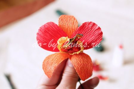 Цветы своими руками: орхидея из бумаги гофрированной