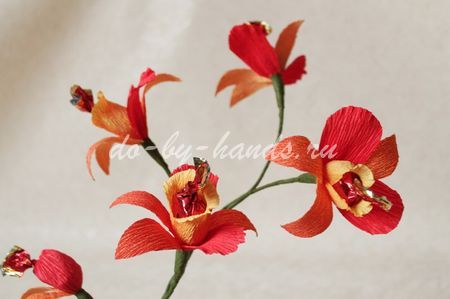 орхидеи из конфет и гофробумаги (18) (450x299, 34Kb)