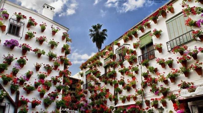 Ежегодно в мае в испанской Кордове проходит фестифаль цветов Patios de Cordoba, участники которого украшают свои дома, дворики и прилегающие участки улиц различными цветочными композициями (700x390, 75Kb)
