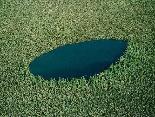 Озеро в лесу, Сибирь, Россия (597x450, 120Kb)