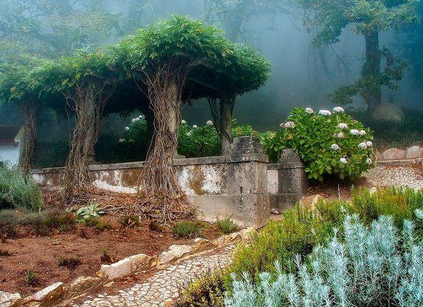 Старый сад в городе Синтра, Португалия (604x439, 90Kb)