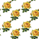  76262684_large_3452703_zalivka4 (512x512, 335Kb)