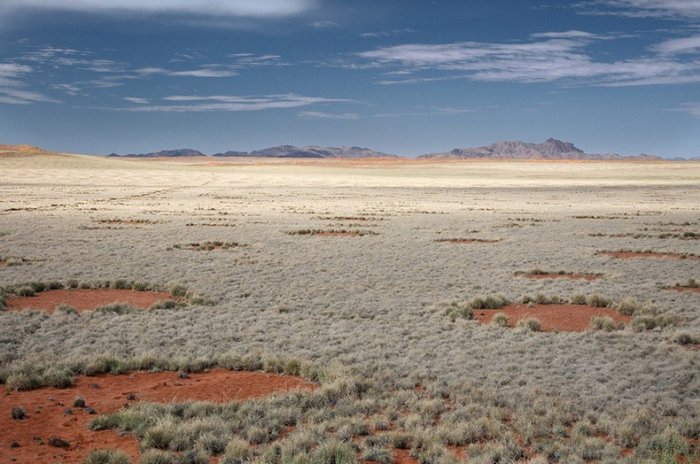 круги в пустыне намиб 6 (700x464, 73Kb)