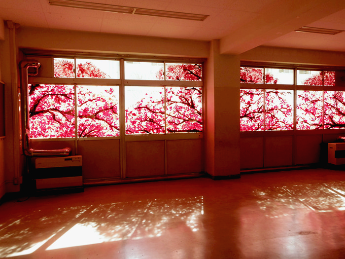 Cherry_Blossom_Murals_01 (700x525, 321Kb)