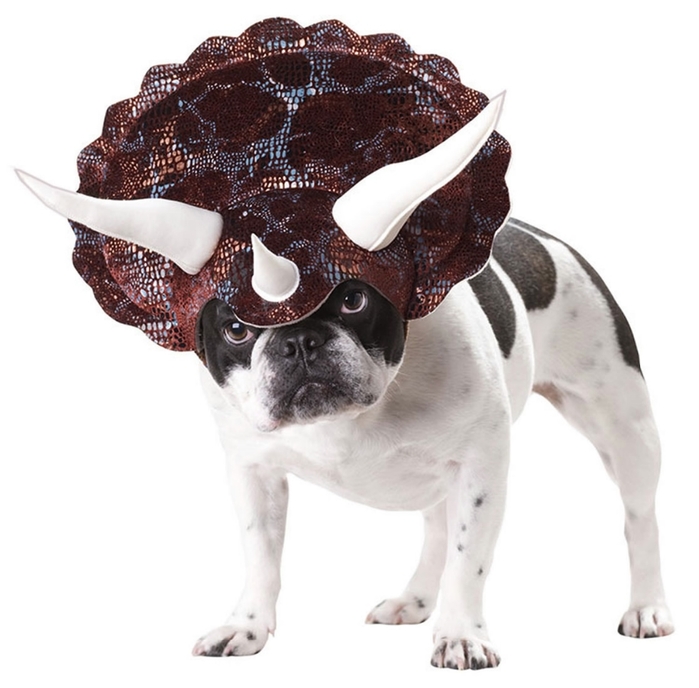 Animal Planet Triceratops Dog Costume (700x688, 193Kb)