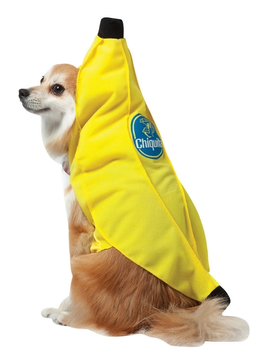 Chiquita Banana Dog Costume (529x700, 124Kb)