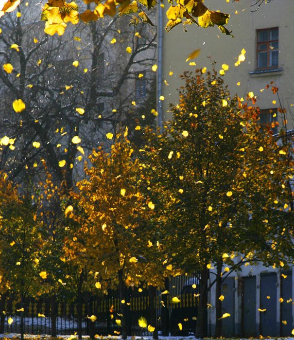 3303834_autumn_3 (605x700, 117Kb)