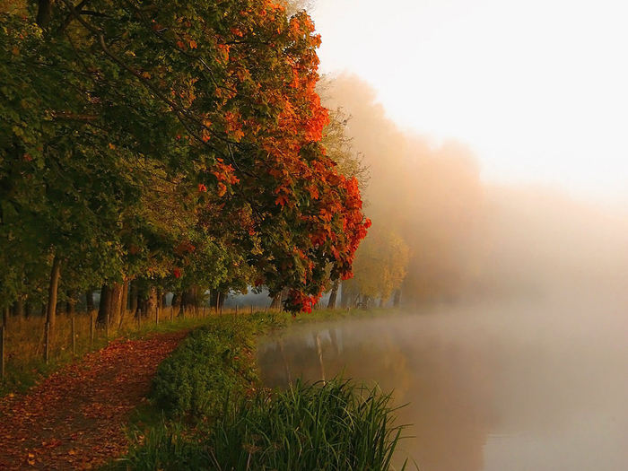 autumn_haze_ii_by_ina_fahlsten-d5ib92t (700x525, 410Kb)