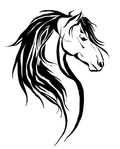 Превью bih-haired-horse-tattoo (563x700, 130Kb)