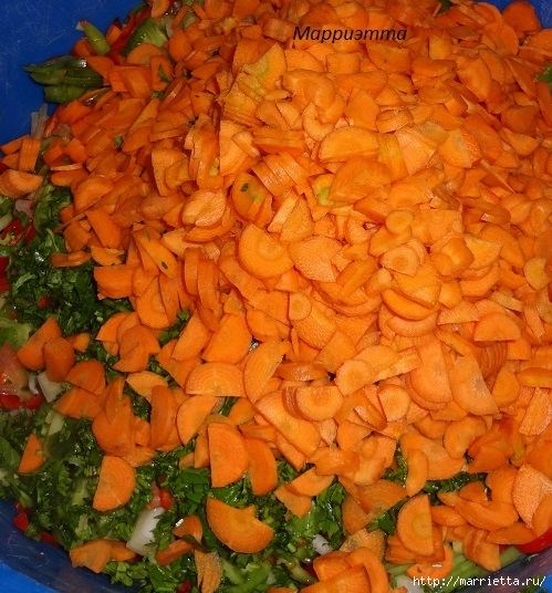 Салат из зеленых помидор с морковкой (10) (499x536, 247Kb)