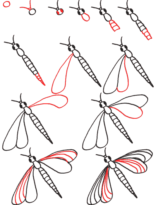 drawdragonfly (533x700, 59Kb)