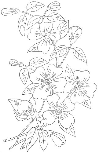 flower-hand-embroidery-designs-10 (324x501, 134Kb)