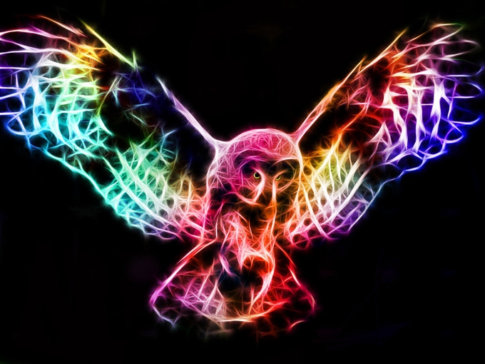 fractal_owl_in_flight_by_minimoo64-d4ai36u (680x510, 226Kb)