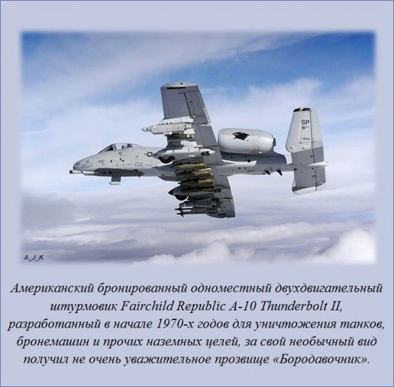 1382136840_fact_05 (570x560, 154Kb)