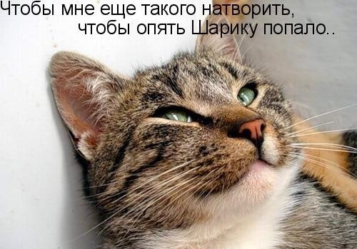 http://img1.liveinternet.ru/images/attach/c/9/106/265/106265297_201928e425f8e8be7ed510d4f9e7f388.jpg