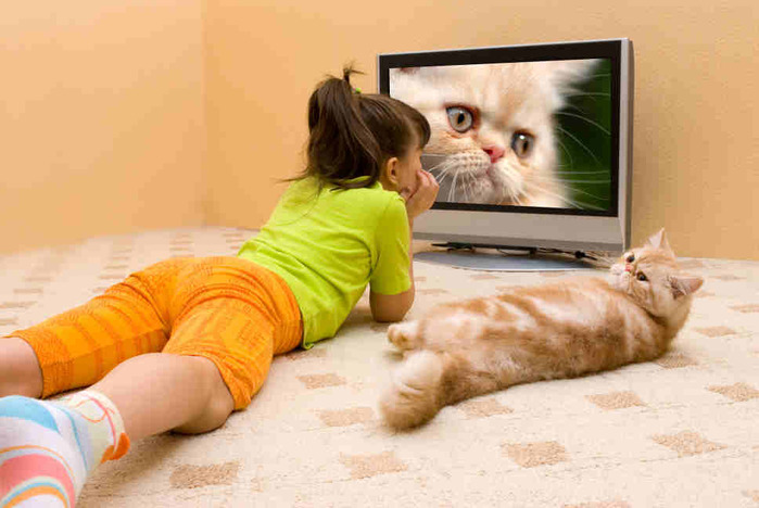 2749438_remont_televizorov (700x468, 90Kb)