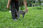 Превью DSC_0627 (700x464, 394Kb)
